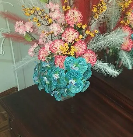 Ricky House Big Waves Διαμέρισμα Ναζαρέ